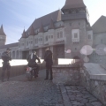 Foto 163 - 1
