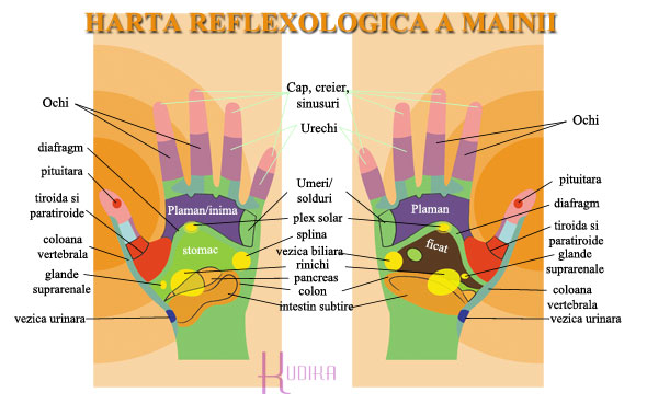harta reflexologica a mainii