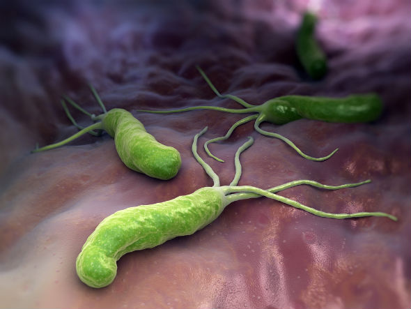 bacteriile h pylori provoacă pierderea în greutate)