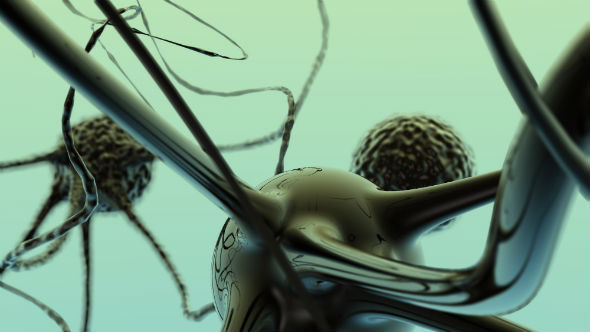 curiozitati despre creier - neuronii se renegenreaza