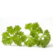 Detoxifiere si silueta cu doua plante minune