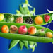 Alimente care scad colesterolul