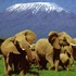 Parcul National Amboseli: fascinatia unei plimbari in natura