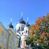 TOP � Incursiuni in Europa Medievala