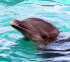 Vacanta in lumea piratilor: Insulele Bahamas