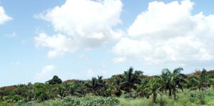 Vacanta in lumea piratilor: Insulele Bahamas