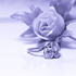 Marimea conteaza? � Inelul de Logodna