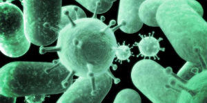 Tu stii sa indepartezi 330.000 de bacterii pe centimentru patrat?