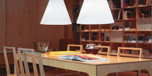 Shopping: lampi de plafon