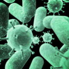 Pneumococul - Pericolul care circula liber printre noi