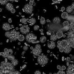 Bacteriile rudimentare, vinovate de ADN-ul speciilor actuale