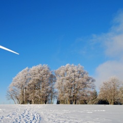 Petrece vacanta de iarna in Austria