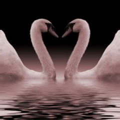 Iubirea ca reflexie: Principiul oglinzilor in psihologie 