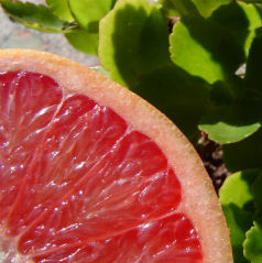 Cura de slabire si detoxifiere cu Pomelo