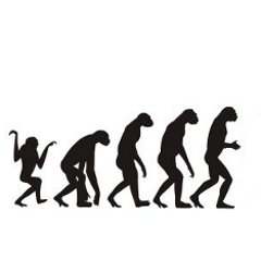 Cum au evoluat creierul si penisul uman de-a lungul timpului?