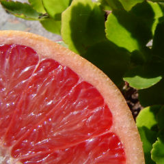 Pomelo - tinerete si sanatate intr-un singur fruct