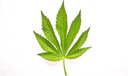 Afla efectele consumului de marijuana