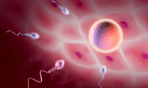 Afla cum sa primesti finantare pentru fertilizarea in vitro