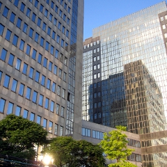 Joburile anului 2011
