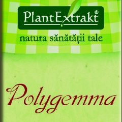 Polygemma, o noua gama de produse PlantExtrakt - sanatate de la natura