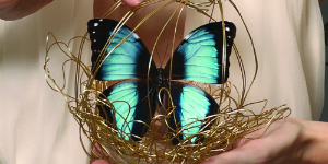 Fluturi vii, un decor inedit pentru nunta