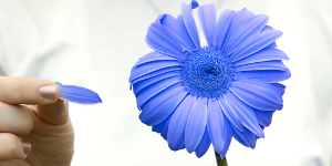 Astrologie: Trasaturi, compatibilitate si iubire in horoscopul floral