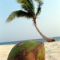Cuba: Tara contrastelor
