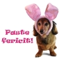 Felicitari de Paste