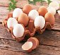 Ouale, proteina completa de Pasti