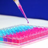 S-a descoperit vaccinul anticancer