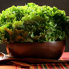 Detoxifiere cu salata verde