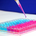 Tot ce trebuie sa stii despre fertilizarea in vitro