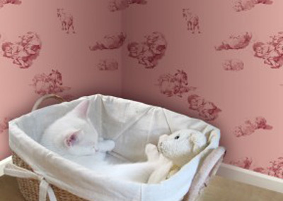 Decorati peretii casei in trend! - KATZE - Slide 1 din 21
