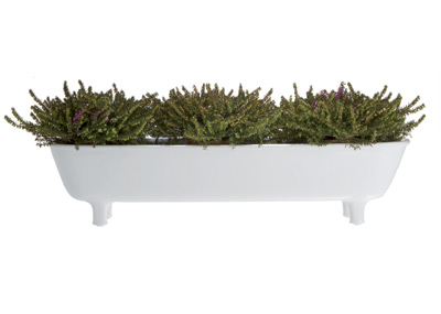 LONG POT