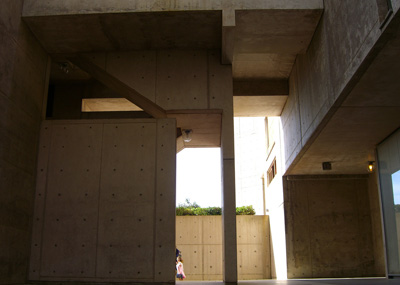 Institutul Salk - Louis Kahn