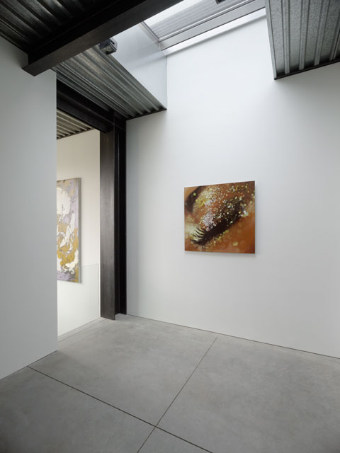 Casa-galerie