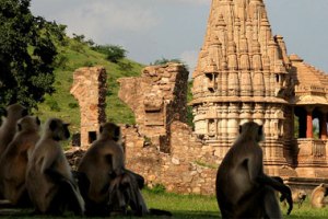 Bhangarah, India