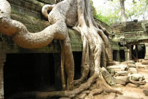 Angkor, Cambodgia