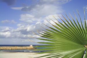 Tunisia, Hammamet � 279 euro
