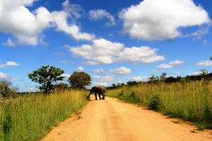 Africa de Sud in 12 zile � de la 1272 euro