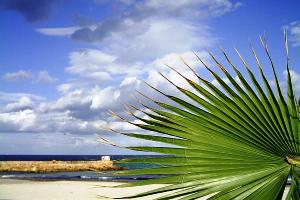 Revelion exotic in Tunisia � de la 398 euro