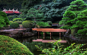 Shinjuku Gyoen