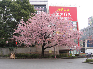 Ueno Park