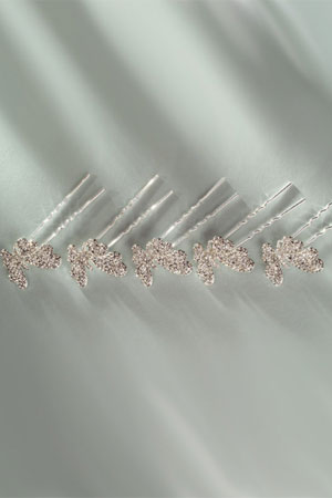 Accesorii de par