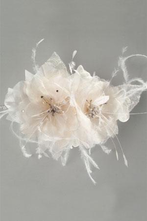 Accesorii de par