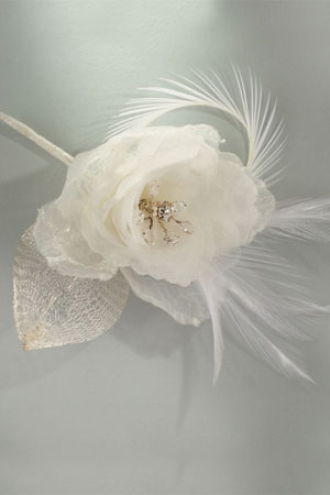Accesorii de par