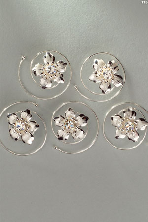Accesorii de par