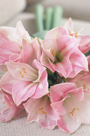 Buchet de mireasa