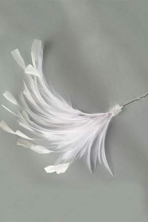 Accesorii de mireasa
