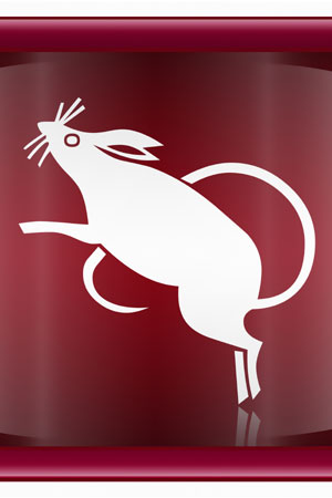 Sobolan

Anii sobolanului: 1936, 1948, 1960, 1972, 1984, 1996,